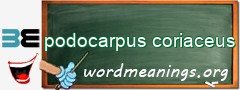 WordMeaning blackboard for podocarpus coriaceus